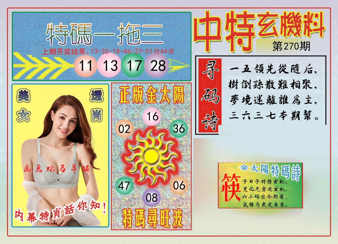 中特玄机料 第270期