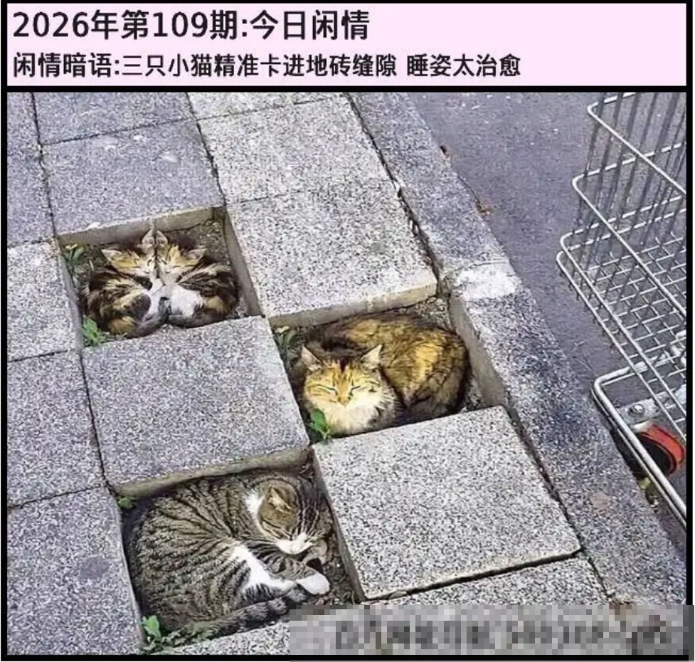 另版今日闲情