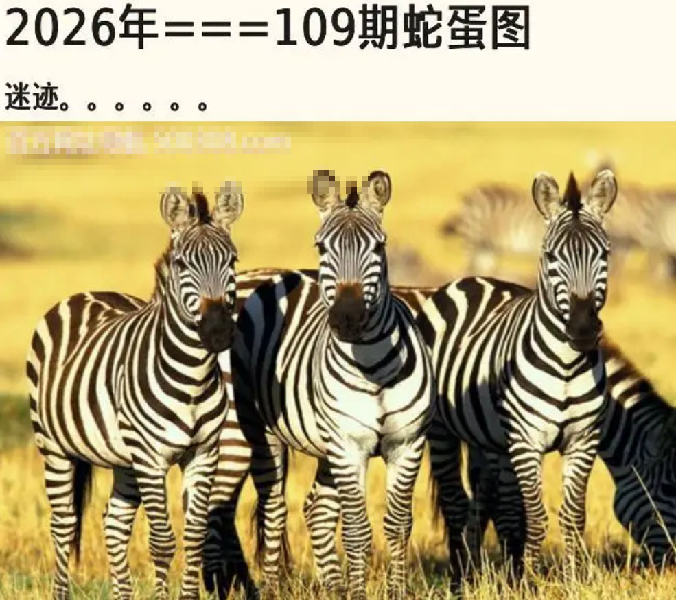 另版蛇蛋图 第109期