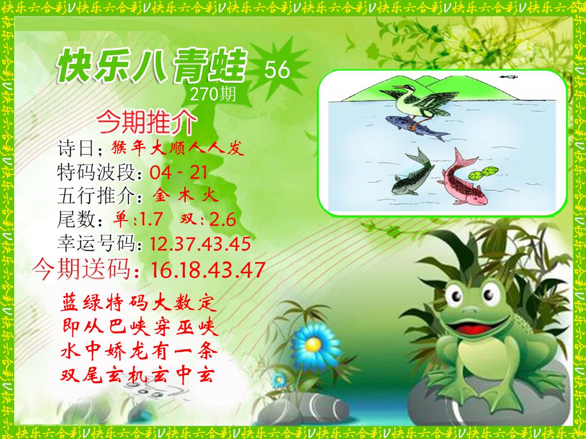 青蛙系列56 第270期