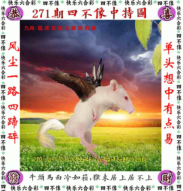 四不像 第271期