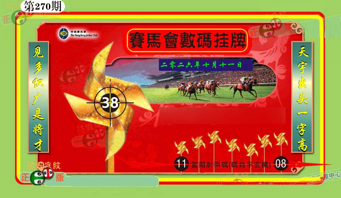 赛马会数码挂牌 第270期
