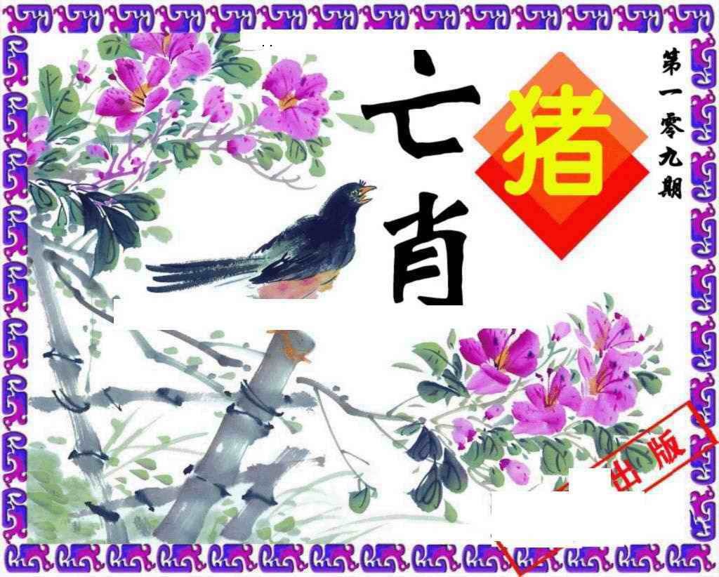 神鸟版 第109期