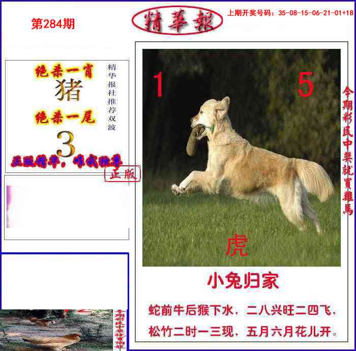 新精华报报 第283期