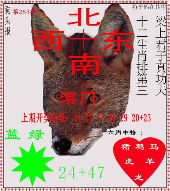 狗头报 第283期
