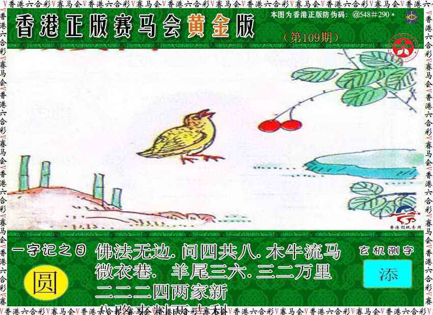 赛马会黄金版 第109期