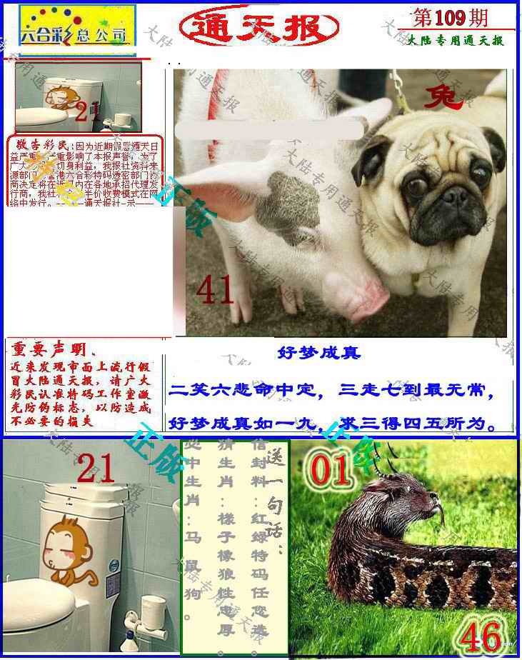 大陆通天报 第109期