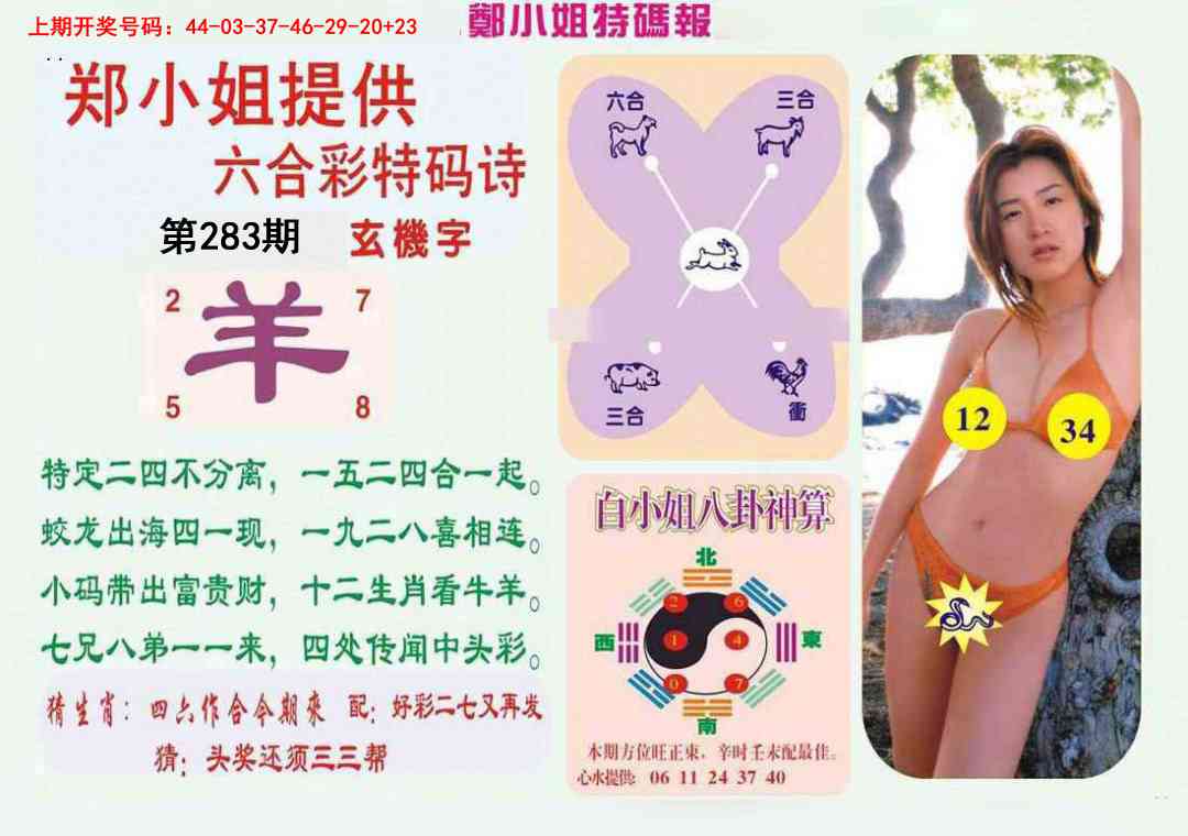 郑小姐特码报B 第283期