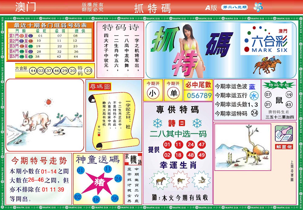 118抓特码A 第283期