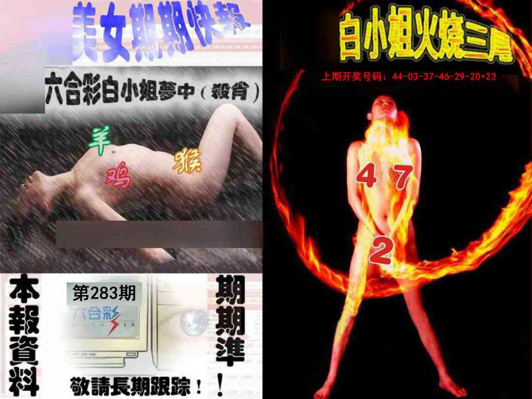 环球美女特码报 第283期