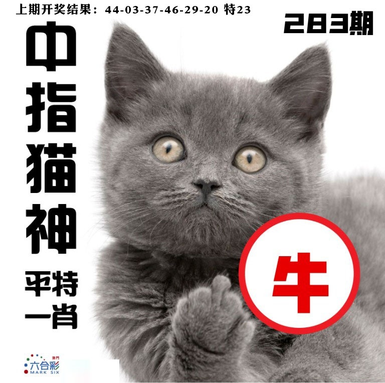 中指猫神 第283期