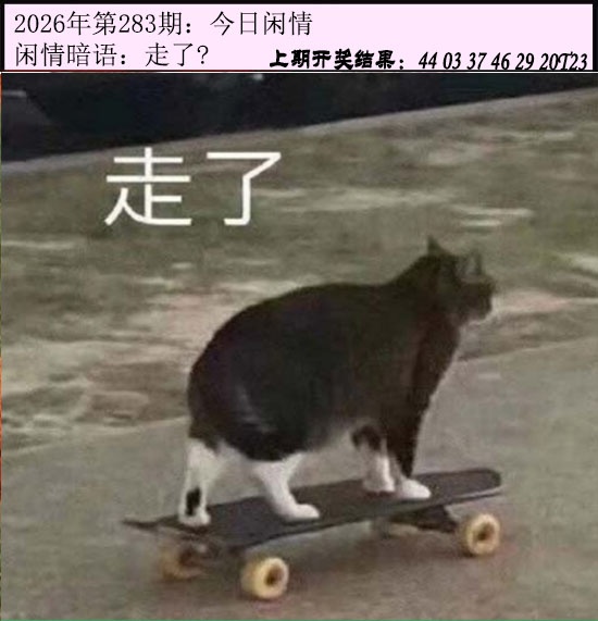 今日闲情 第283期