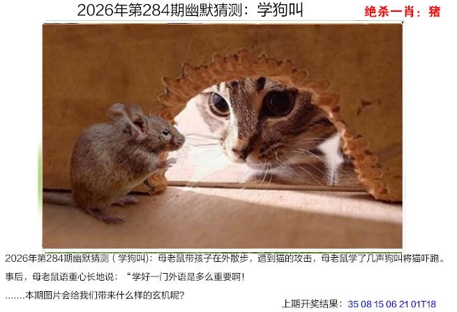 幽默猜测 第283期