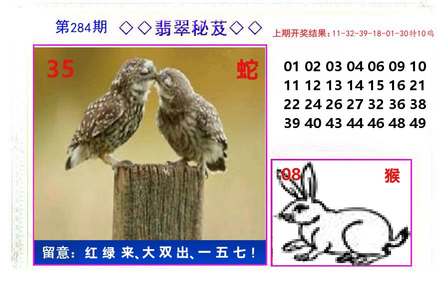 翡翠秘芨 第284期