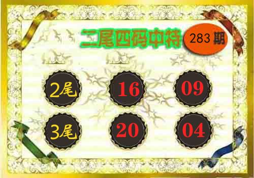 二尾四码中特 第283期