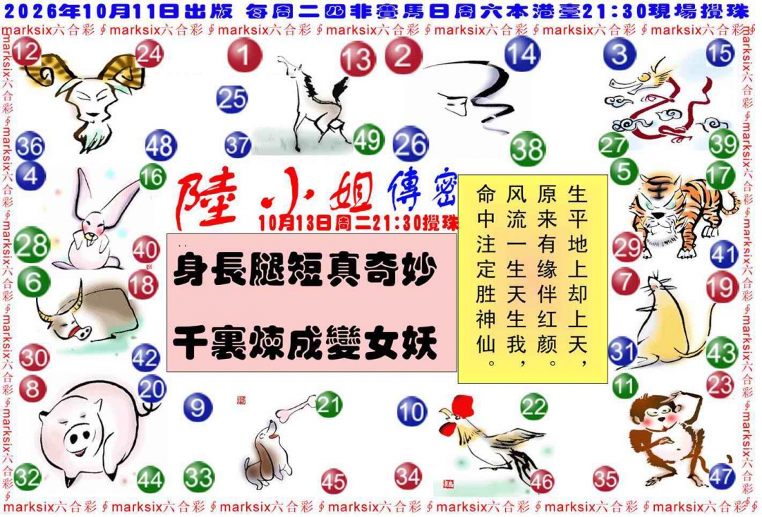 陆小姐传密B 第109期