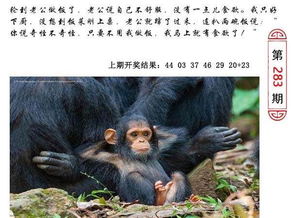 澳门生活幽默 第283期