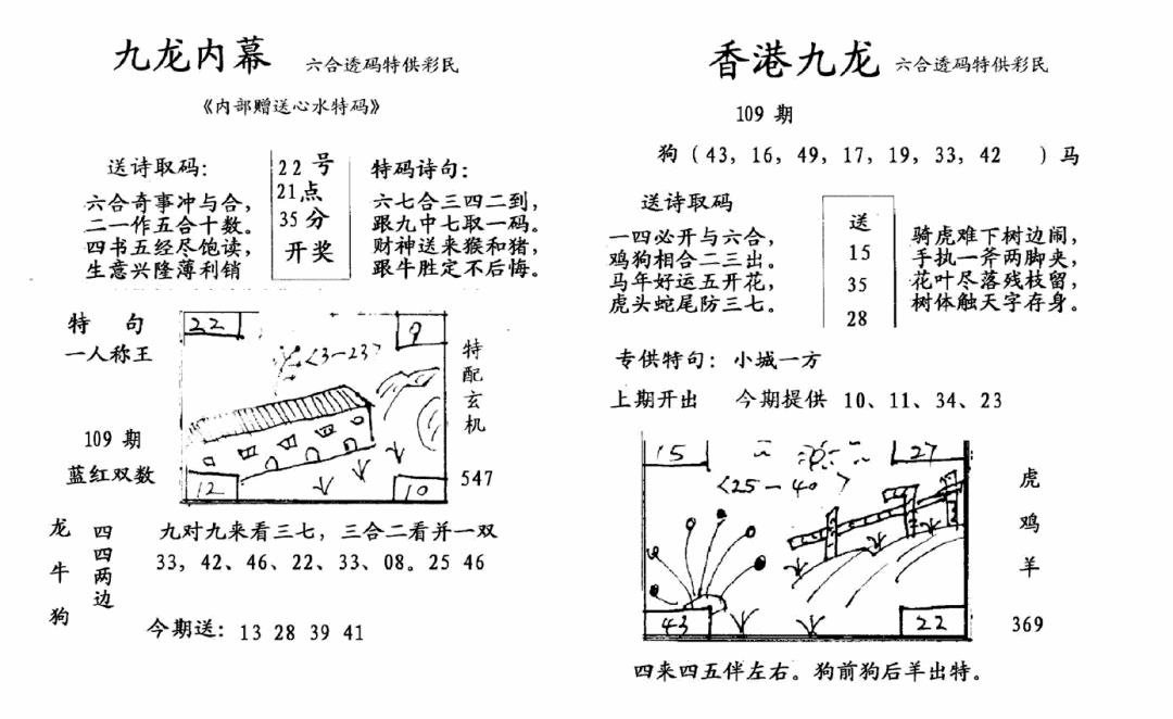 九龙内幕--开奖报 第109期