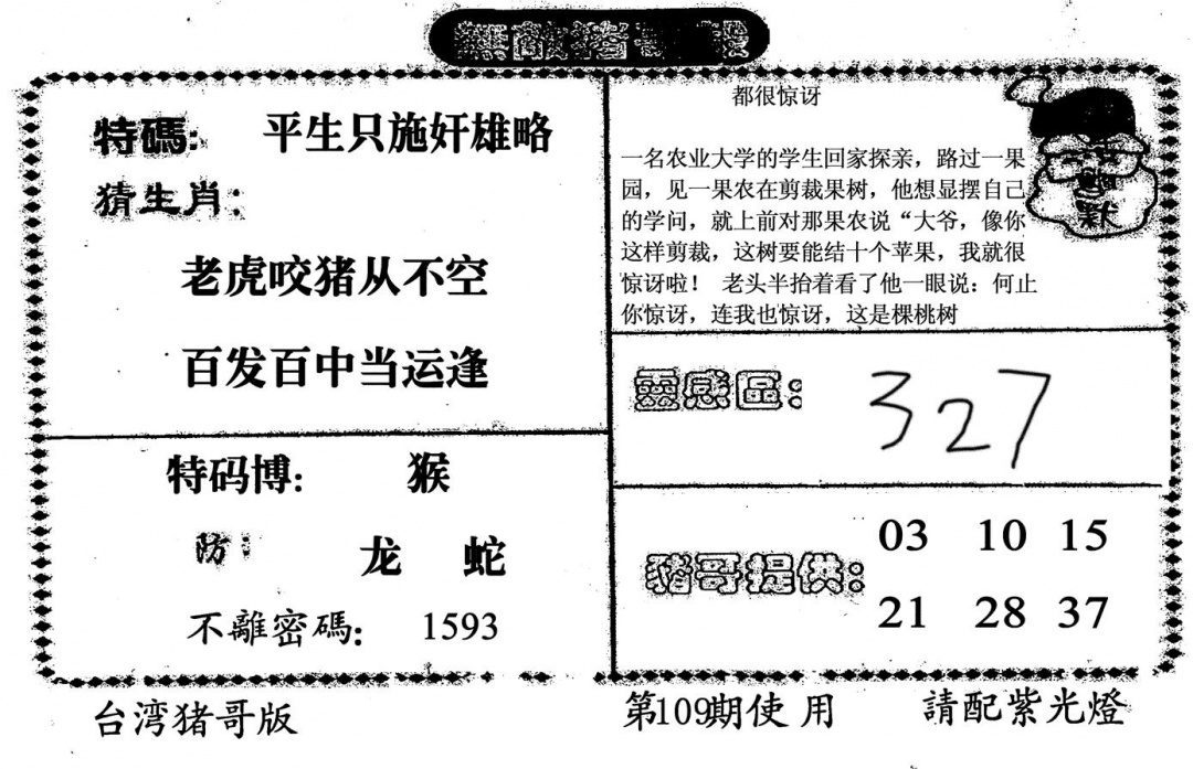 无敌猪哥B 第109期